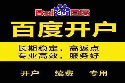 案例分析：百度推广效果优化技巧